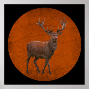 vintage deer in orange nature poster