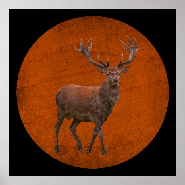 vintage deer in orange nature poster (Front)
