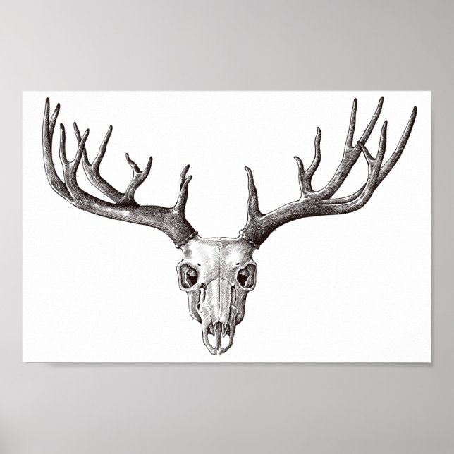 Vintage Deer Skull/Antlers Poster (Front)