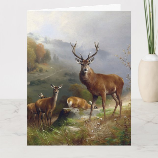 Vintage Deer Stag - Animals Old Illustration Art Card (Front)