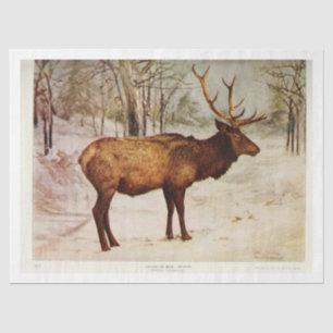 Vintage Deer Stag Elk Ephemera Decoupage Tissue Paper