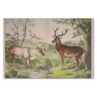 Vintage Deer Stag Ephemera Decoupage