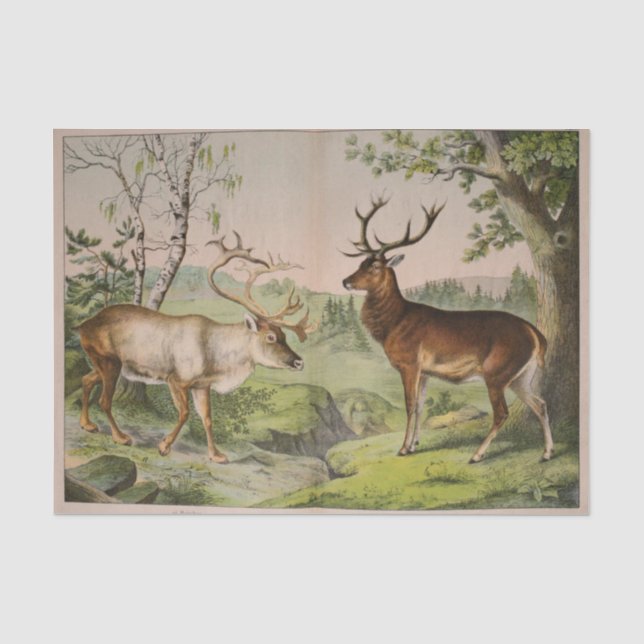 Vintage Deer Stag Ephemera Decoupage Tissue Paper (Front)