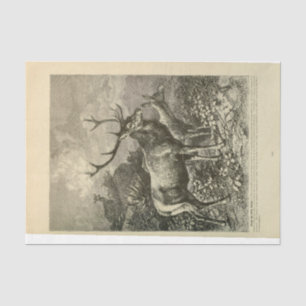 Vintage Deer Stag Ephemera Decoupage Tissue Paper