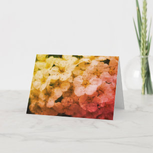 Vintage Delicate French Flower Birthday Card