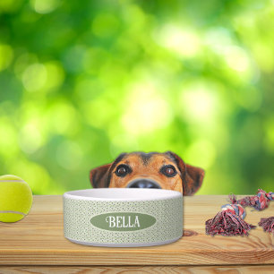 Vintage Design Cream and Green Ceramic Dog Bowl