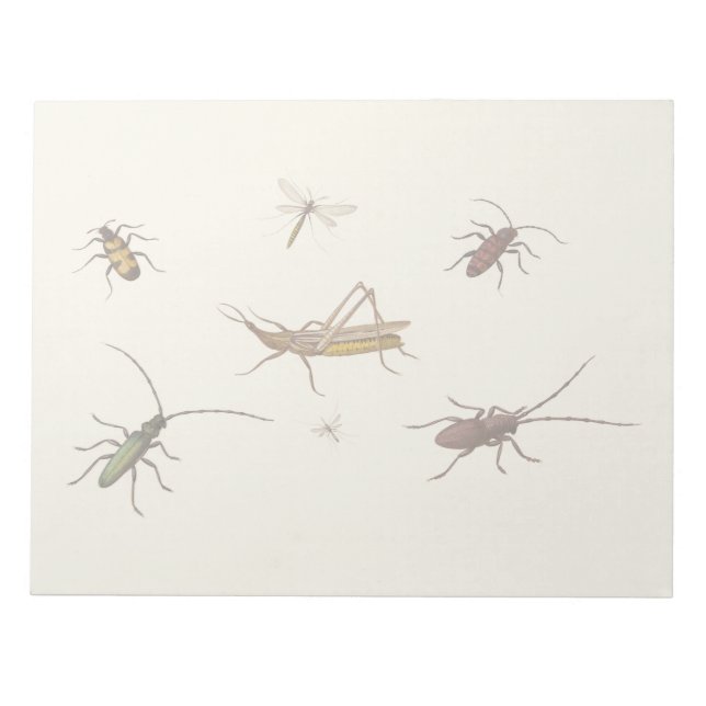 Vintage design with seven different insects notepad (Front)