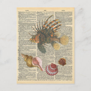 Vintage Dictionary Art Lion Fish and Beach Shells Postcard