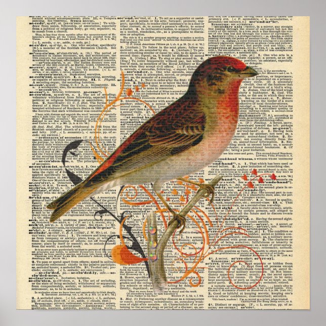 Vintage Dictionary Bird  Poster (Front)