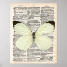 Vintage dictionary page and white butterfly
