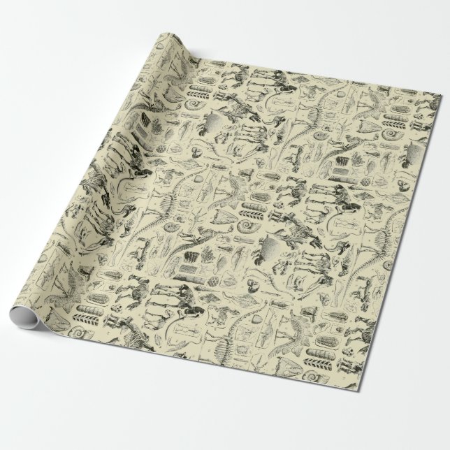 Vintage Dinosaur Bone Fossils Art Wrapping Paper (Unrolled)