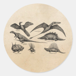 Vintage Dinosaur Illustration Retro Dinosaurs Classic Round Sticker