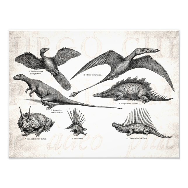 Vintage Dinosaur Illustration Retro Dinosaurs Photo Print (Front)