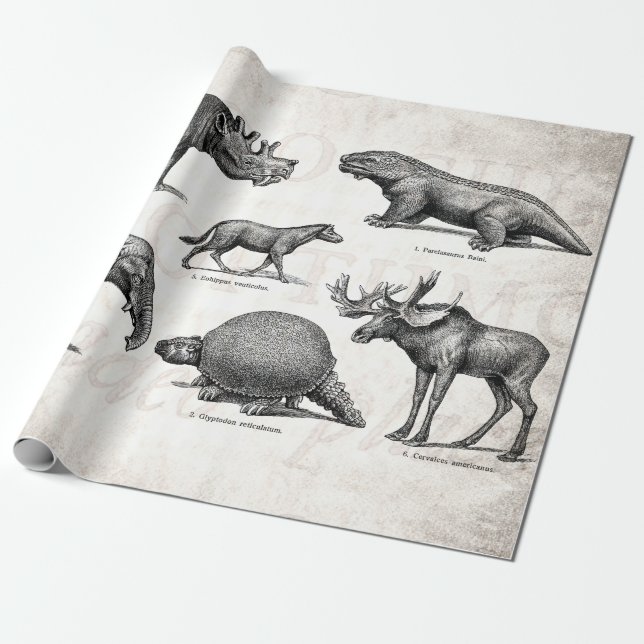Vintage Dinosaur Old Illustration Retro Dinosaurs Wrapping Paper (Unrolled)