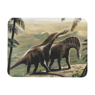 Vintage Dinosaurs, Amargasaurus with Palm Trees Magnet
