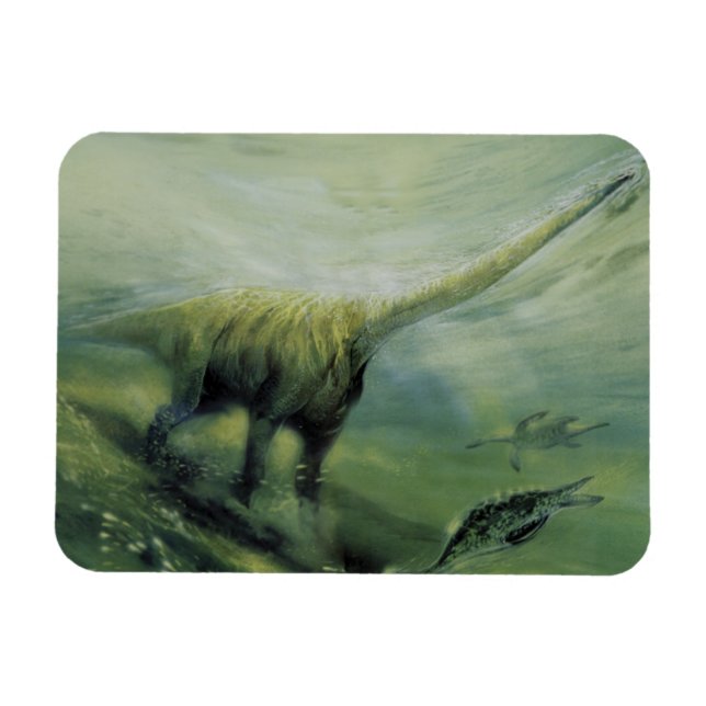 Vintage Dinosaurs, Brachiosaurus Swimming in Ocean Magnet (Horizontal)