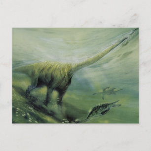 Vintage Dinosaurs, Brachiosaurus Swimming in Ocean Postcard