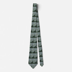 Vintage Dinosaurs, Megapnosaurus aka Syntarsus Tie