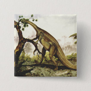 Vintage Dinosaurs, Plateosaurus Grazing on Trees 2 Inch Square Button