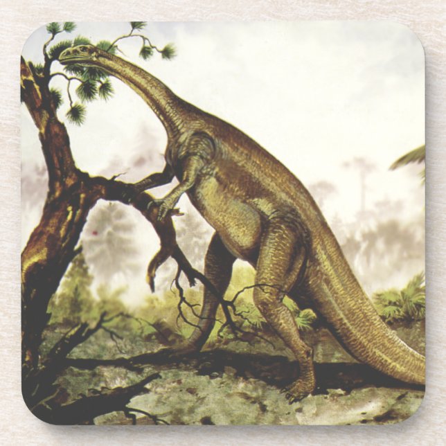 Vintage Dinosaurs, Plateosaurus Grazing on Trees Coaster (Front)