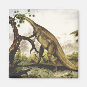 Vintage Dinosaurs, Plateosaurus Grazing on Trees Magnet