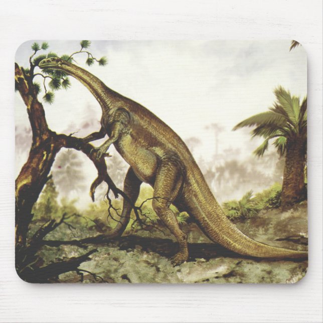 Vintage Dinosaurs, Plateosaurus Grazing on Trees Mouse Pad (Front)
