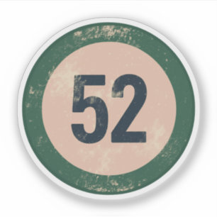 Vintage Distressed Number 51