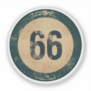 Vintage Distressed Number 66