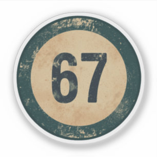 Vintage Distressed Number 67