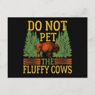 Vintage Do Not Pet the Fluffy Cows American Bison Postcard