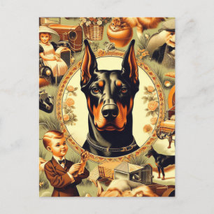Vintage Doberman Illustration Postcard