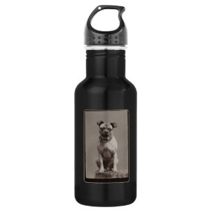 Vintage Dog 532 Ml Water Bottle