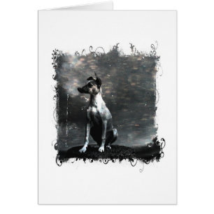 Vintage Dog All Occasions