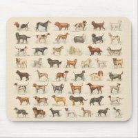 Vintage Dog Breed Drawings