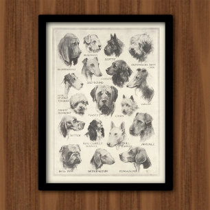 Vintage dog breeds chart
