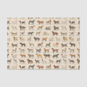 Vintage Dog Breeds Patterned Tissue Paper