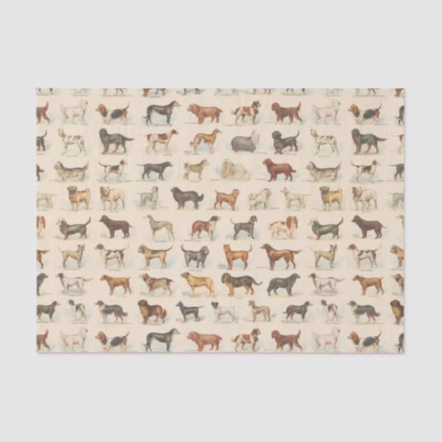 Vintage Dog Breeds Patterned Tissue Paper (Front)