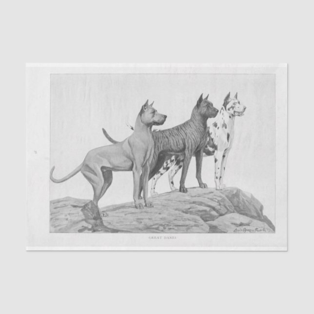 Vintage Dog Ephemera Decoupage Great Danes Tissue Paper (Front)