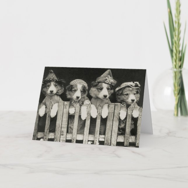 Vintage Dog Greeting Card (Front)