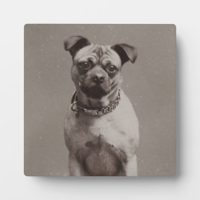 Vintage Dog Plaque (Front)