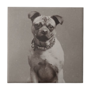 Vintage Dog Tile