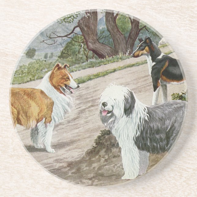 Vintage Dog Trio Coaster (Front)