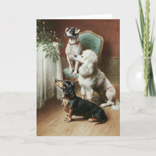 Vintage - Dogs Admire a Christmas Tree, Holiday Card