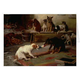 Vintage - Dogs Play Tug of War,