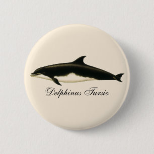 Vintage Dolphins Delphinus Tursio, Marine Mammals 2 Inch Round Button