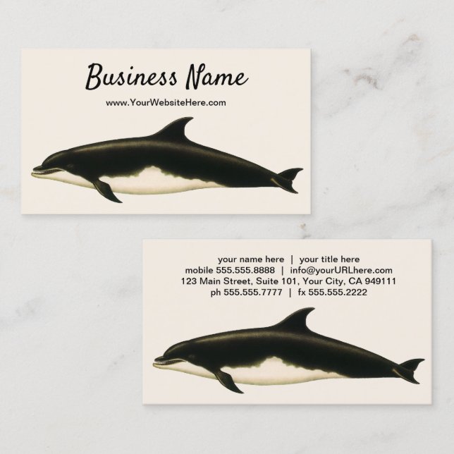 Vintage Dolphins Delphinus Tursio, Marine Mammals Business Card (Front/Back)