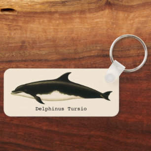 Vintage Dolphins Delphinus Tursio, Marine Mammals Keychain
