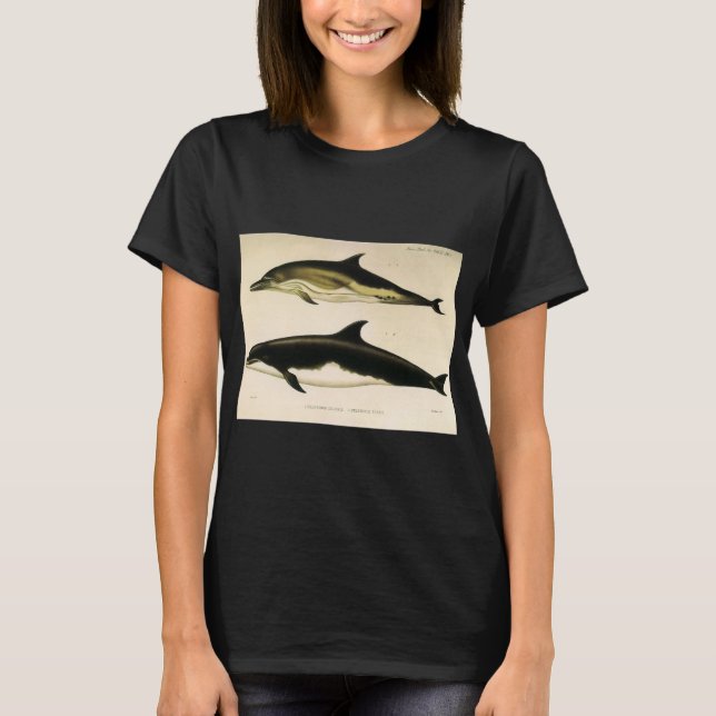 Vintage Dolphins, Marine Animals and Mammals T-Shirt (Front)