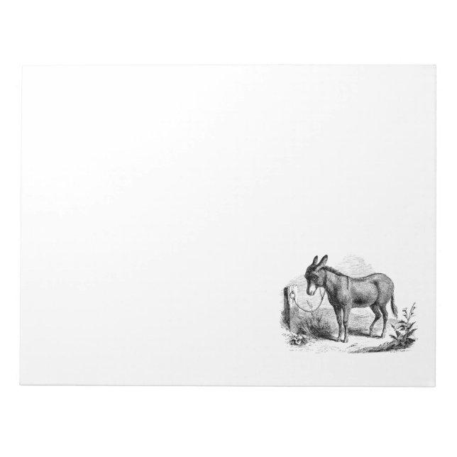 Vintage Domestic Donkey Personalized Retro Donkeys Notepad (Front)
