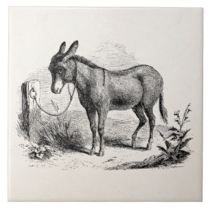 Vintage Domestic Donkey Personalized Retro Donkeys Tile